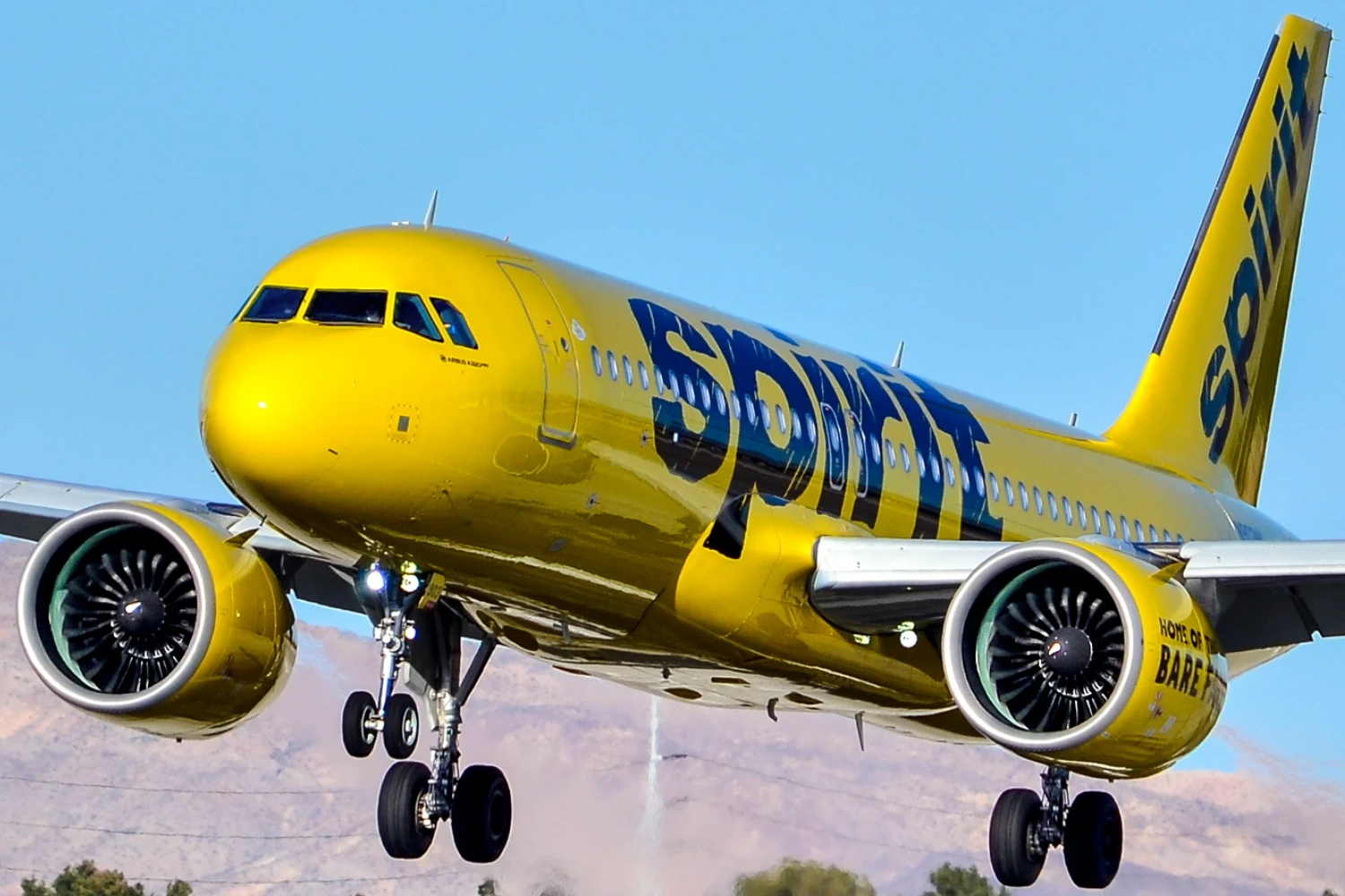 Spirit Airlines Airbus A320neo (Tomás Del Coro)