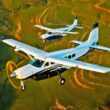 Cessna Caravan and Grand Caravan EX