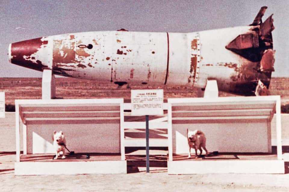 Rocket and dogs used in Russia's first space launches: Soviet Area 51? (Russian Defense Ministry)