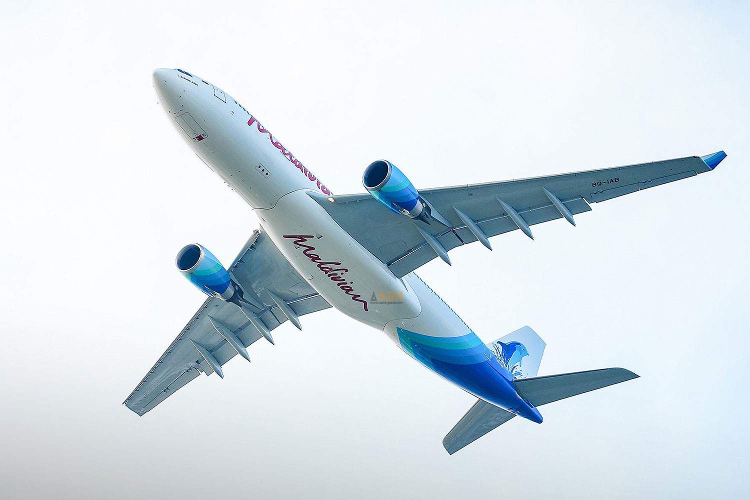 Maldivian adds first widebody A330 to its fleet - Air Data News